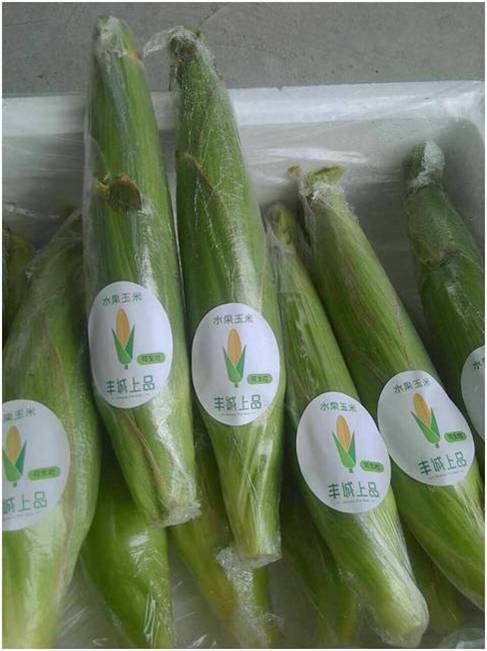 图片4.jpg